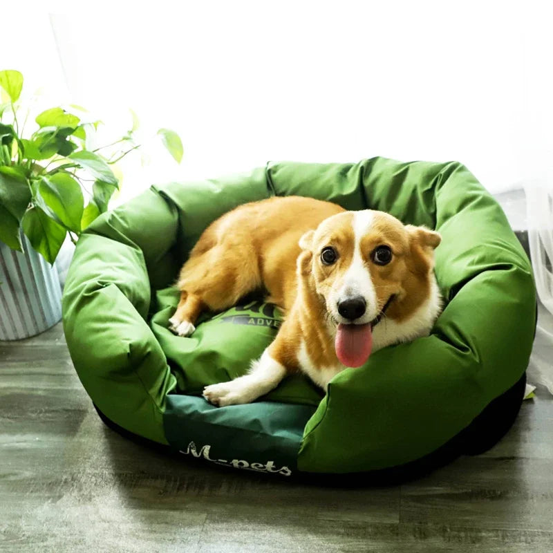 Orthopedic Pet Beds