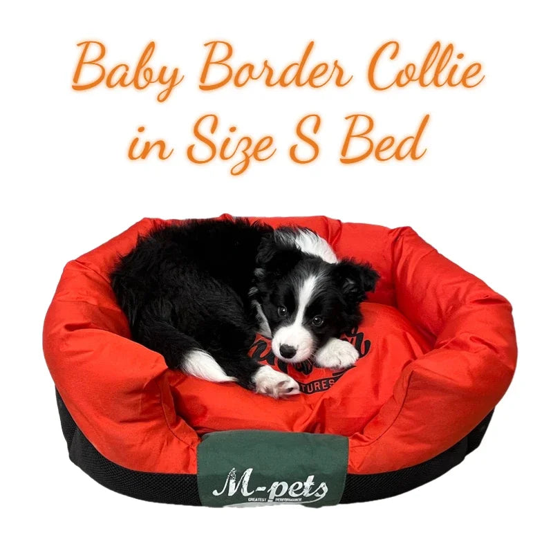 Orthopedic Pet Beds