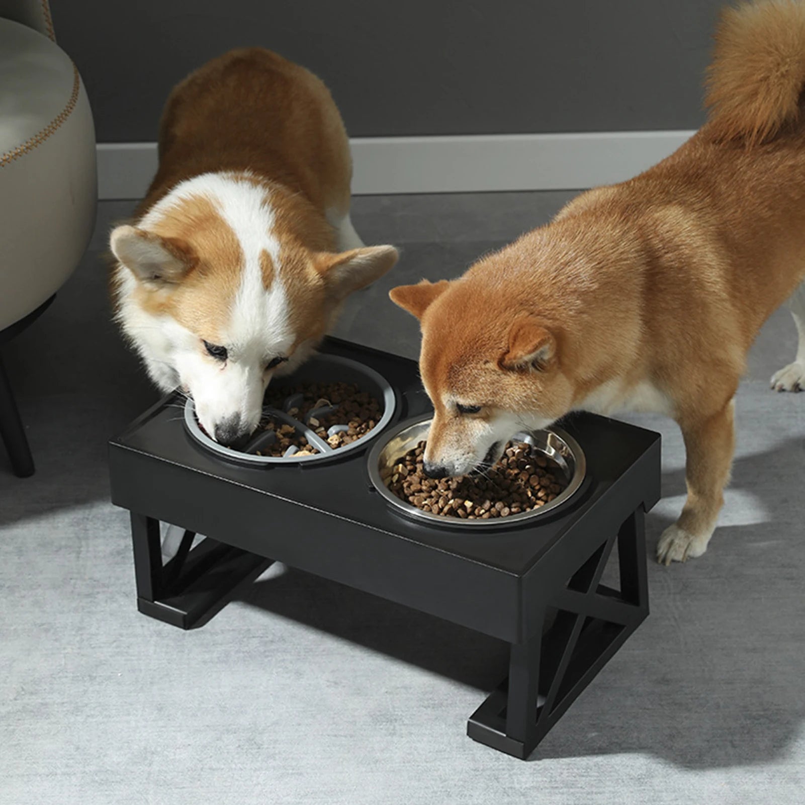 Elevated Dog Bowls Feeding Station