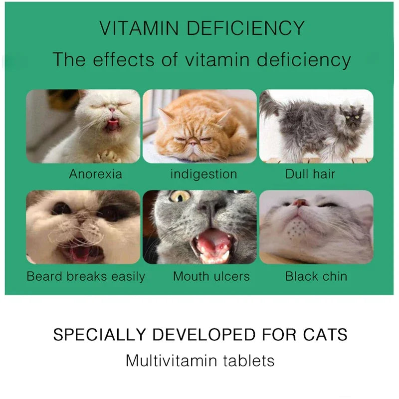 Multi-vitamin Supplement For Pet Cats